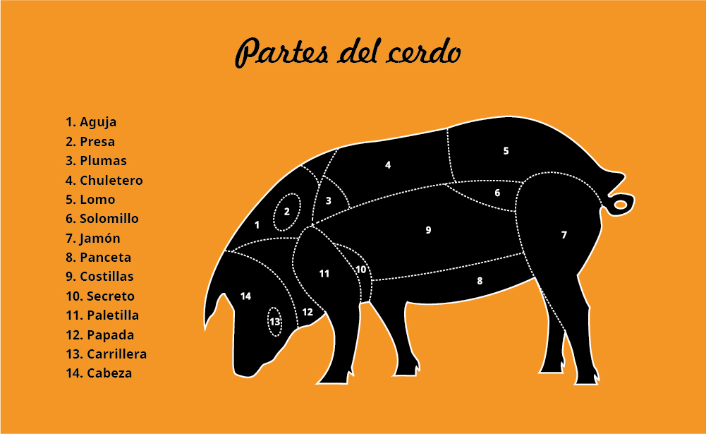 partes del cerdo