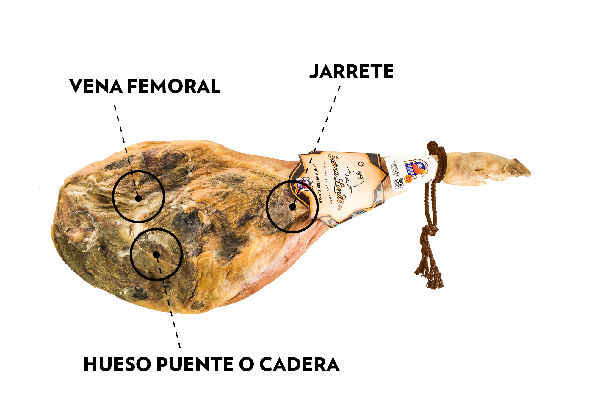 calado_jamon