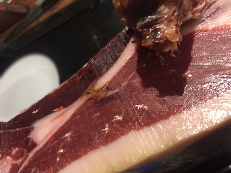 posibles-afecciones-del-jamon