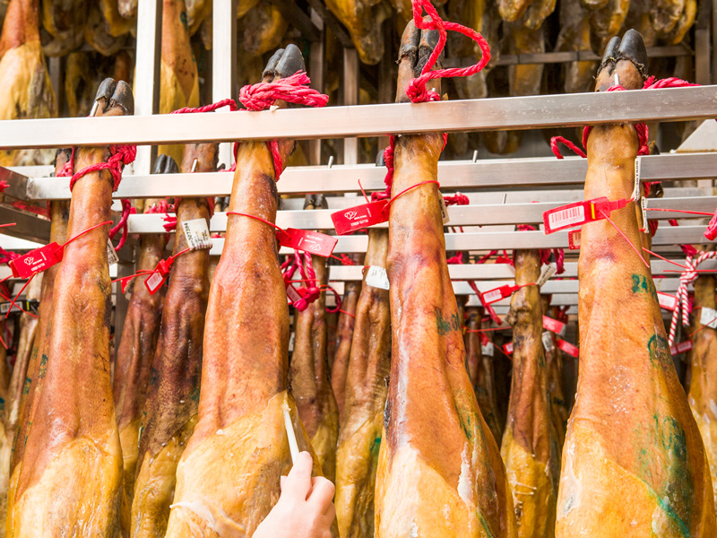 Diferencias-entre-los-distintos-jamones-ibéricos-más-allá-de-la-raza-y-la-alimentación Diferencias-entre-los-distintos-jamones-ibéricos-más-allá-de-la-raza-y-la-alimentación