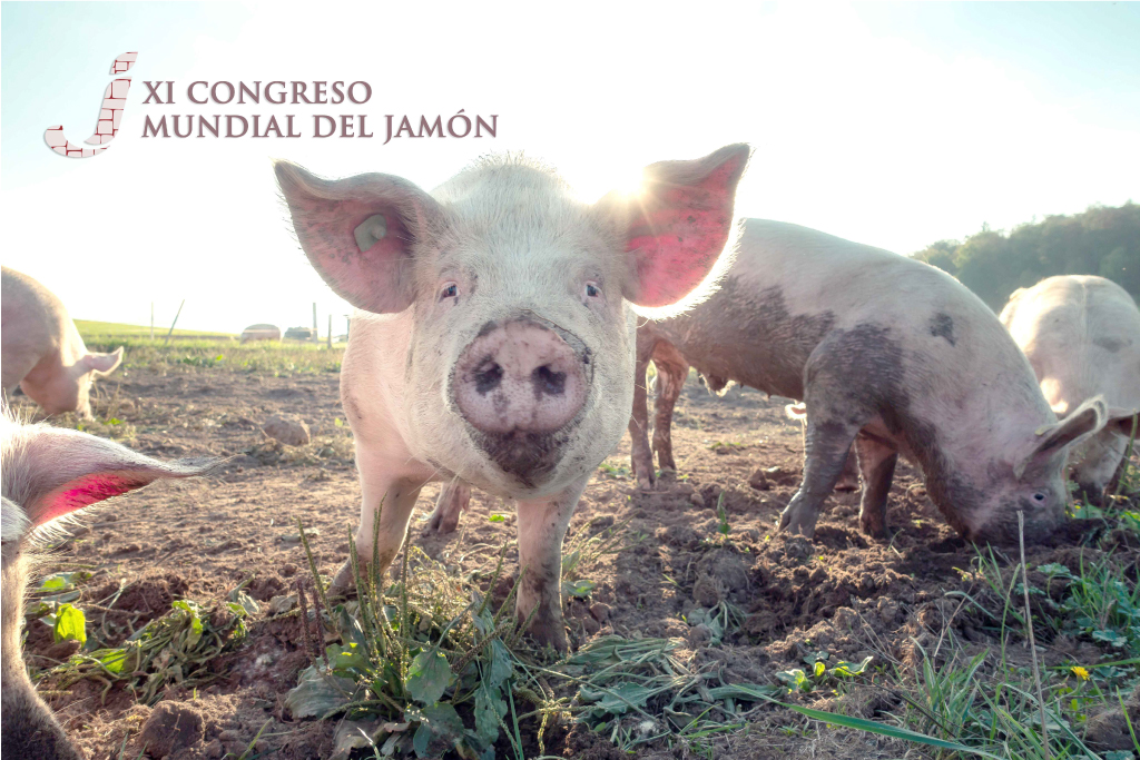 congreso mundial del jamon