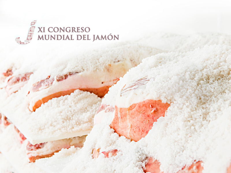XI-Congreso-Mundial-del-Jamón-–-Bloque-B--Procesos-de-elaboración