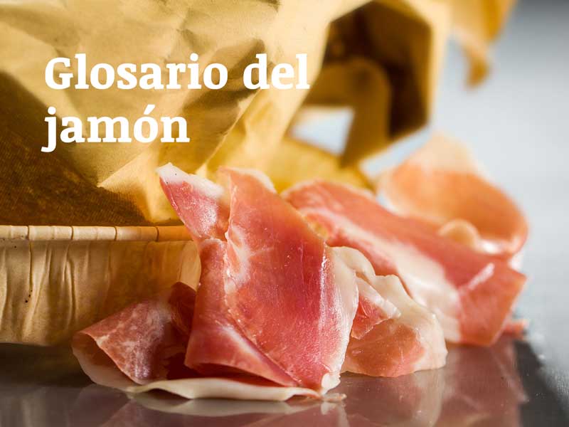 glosario-del-jamon
