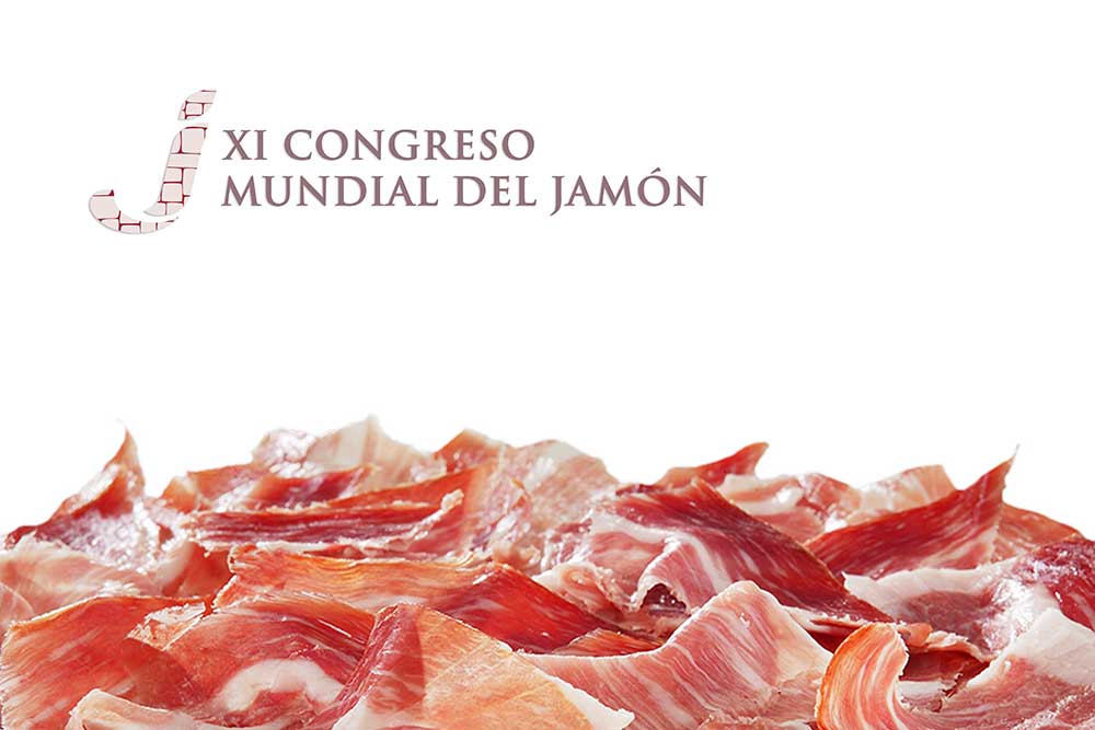 img del blog