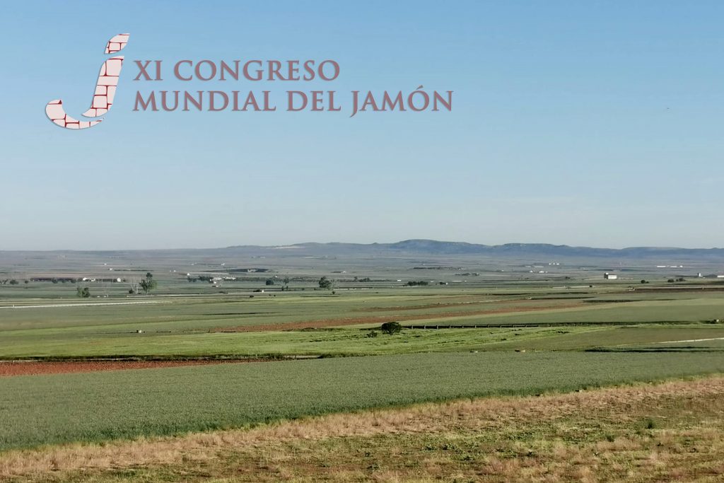 XI-Congreso-Mundial-Sostenibilidad Congreso Mundial-sostenibilidad