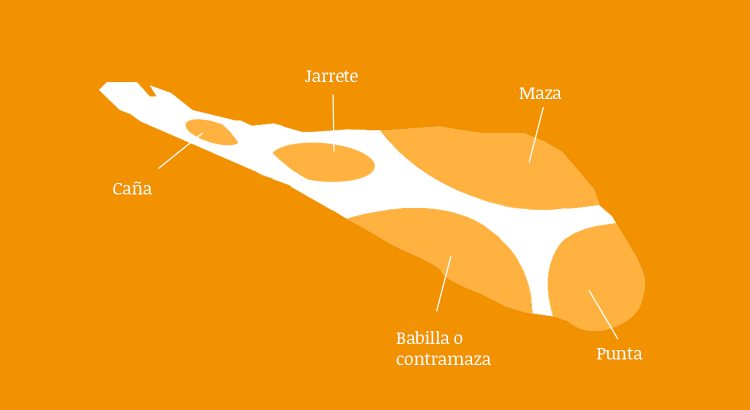 Anatomía-del-jamón