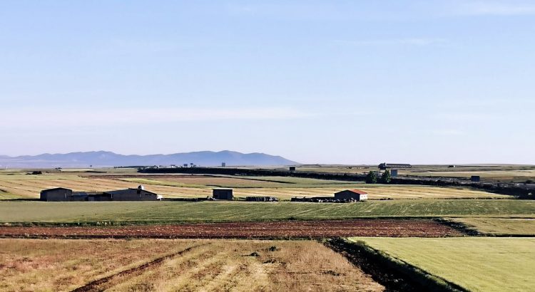 El-impacto-económico-de-la-industria-del-jamón-en-el-entorno-rural-