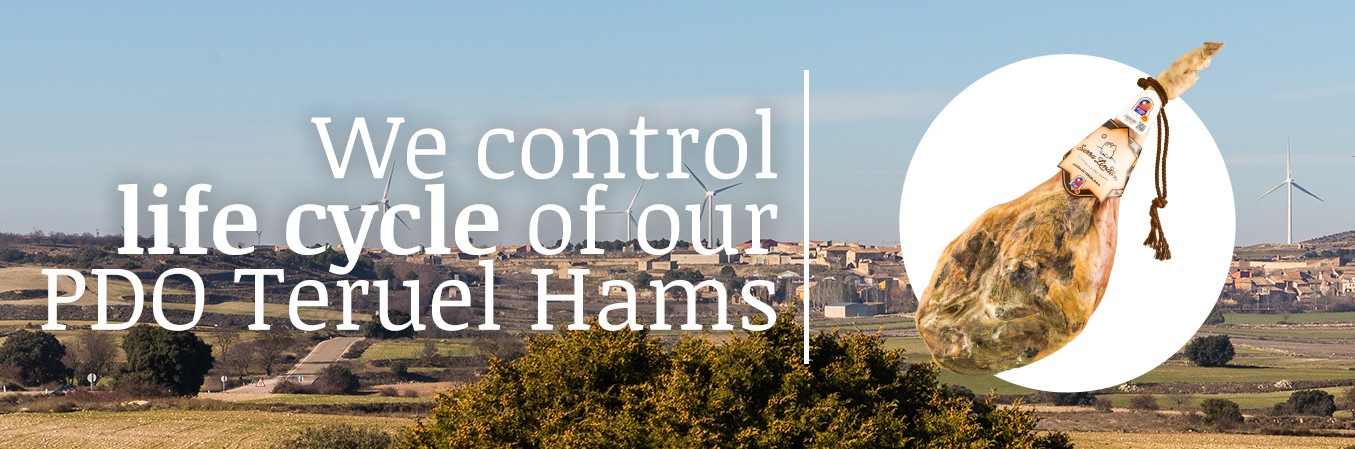 Life cycle of our PDO hams